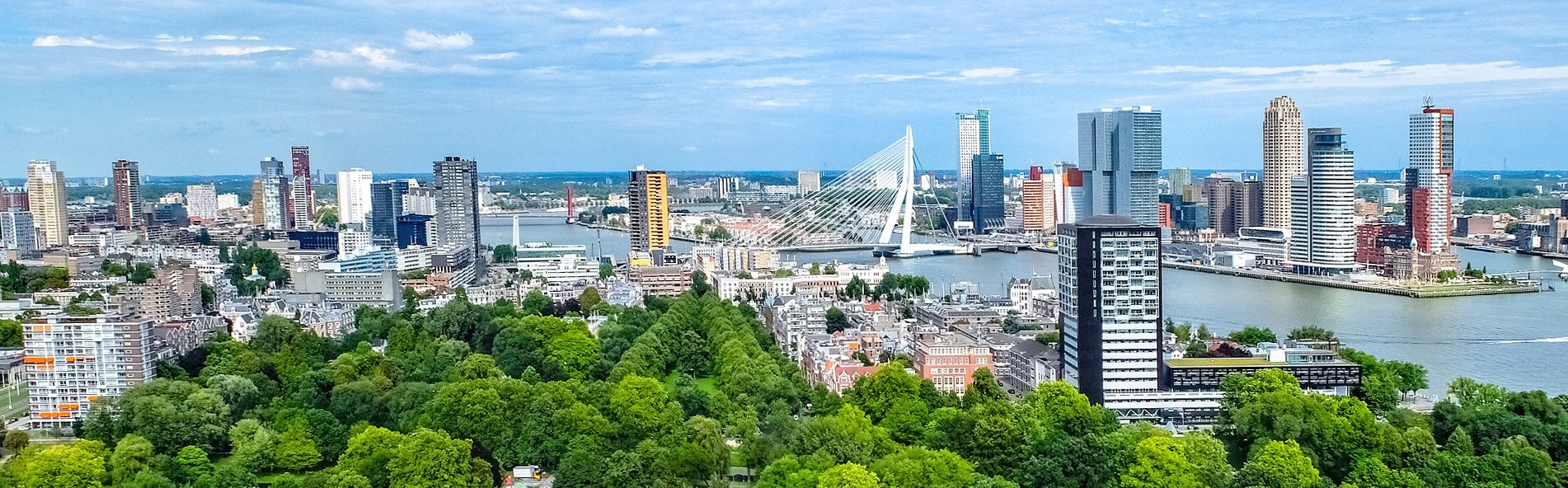 https://cityrotterdamtours.com/wp-content/uploads/2021/05/Rotterdam-skyline-slider.jpg